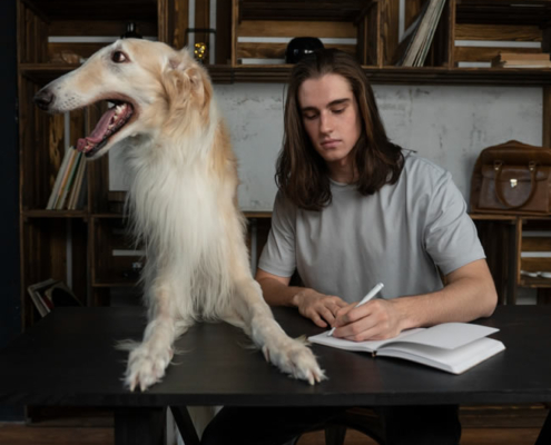 testamente til hund og kæledyr